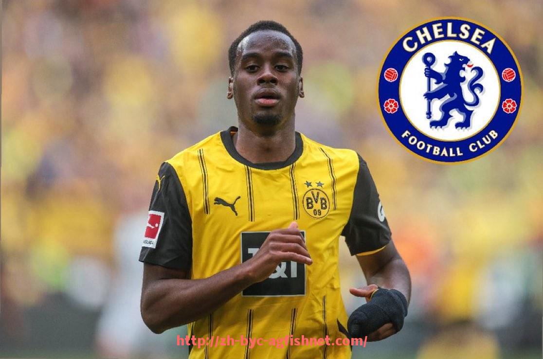 AG捕鱼王官网-NBA赛季全明星投票与球迷参与