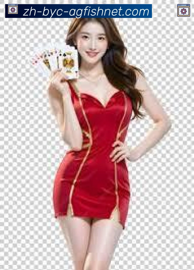 未来规划