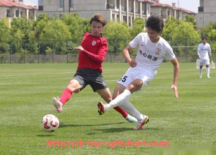 AG捕鱼王官网-法甲里昂主场热尔兰球场的历史与文化意义