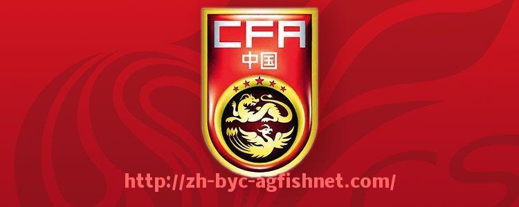 AG捕鱼王官网-2024年NBA西部排名变化频繁反映联盟整体竞争水平提高